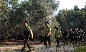 Khởi động các phương án bảo vệ nghiêm ngặt Vườn Quốc gia Tràm Chim trước nguy cơ cháy trong mùa khô 2018