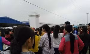  Hơn 600 công nhân Công ty giày Phúc Thành ( Thanh Hóa) đi làm trở lại