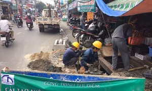 Thành phố Hồ Chí Minh