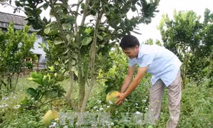 Cựu chiến binh Việt Nam phát huy truyền thống Bộ đội Cụ Hồ