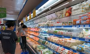 TP Hồ Chí Minh