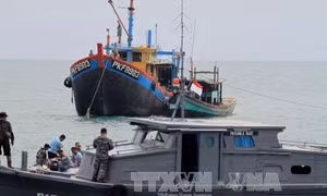 Indonesia bổ sung thêm tàu tuần tra ngăn chặn đánh bắt cá trái phép