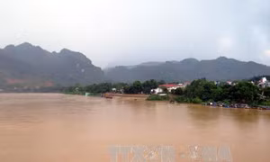 Mực nước các sông ở Quảng Ngãi, Bình Định lên nhanh 
