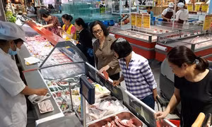 TP Hồ Chí Minh