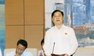 Công nhận quyền tài sản đối với quyền sử dụng mặt nước biển được thuê 