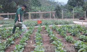 Giữ vững vùng biên, giúp dân xây dựng nông thôn mới