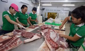Giá thịt lợn hơi dao động ở mức 36.000 đồng/kg 