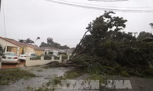 Bão Irma phá hủy, làm hư hại hơn 90% nhà cửa ở St. Martin và Florida Keys