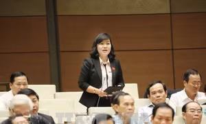 Đại biểu Quốc hội: Chiếm đoạt bảo hiểm xã hội phải được xét xử chứ không chỉ là khởi kiện