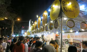 Khai mạc 'Tuần văn hóa chào Xuân Đinh Dậu 2017'