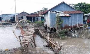 Kiên Giang có 70 km bờ biển Tây bị sạt lở nặng