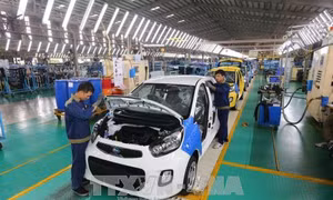 Nhiệm vụ trọng tâm của Hội đồng tư vấn cải cách thủ tục hành chính