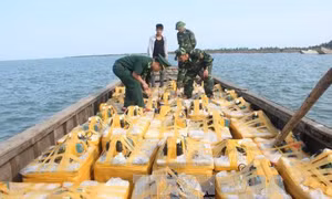 Quảng Ninh: Bắt giữ hàng trăm kg tôm, ốc hương không rõ nguồn gốc 
