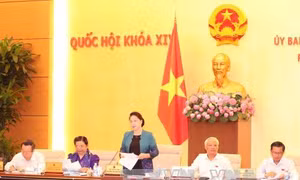 Trên 1,1 triệu người kê khai tài sản, chỉ có 3 trường hợp vi phạm