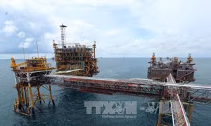 355 triệu tấn dầu thô đã được xuất bán trong 30 năm qua 
