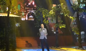 TP Hồ Chí Minh