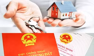 TP Hồ Chí Minh