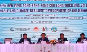 Huy động các nguồn lực cho vùng Đồng bằng sông Cửu Long phát triển bền vững
