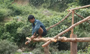 Nậm Củm đang hồi sinh