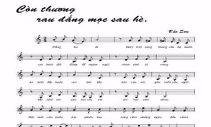 'Còn thương rau đắng mọc sau hè' được cấp phép phổ biến lưu hành