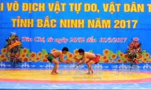 http://media.baotintuc.vn/2017/02/28/21/45/vat.jpg