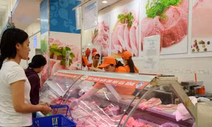 TP Hồ Chí Minh