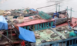 Bắt tàu sử dụng kích điện khai thác thủy sản trái phép