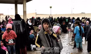 Xuất hiện dấu hiệu sử dụng vũ khí hóa học ở Mosul 