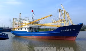 Rà soát đánh giá hiệu quả hoạt động thực tế của các tàu Nghị định 67