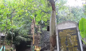 Khẩn trương làm rõ các liệt sỹ hy sinh tại 'Hang Tám Cô'