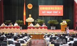 Hà Tĩnh: Bệnh trên lúa làm 'nóng' kỳ họp HĐND 