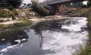 Cần xử lý tận gốc ô nhiễm báo động tại kênh Ba Bò