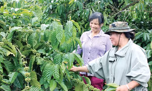 Vươn lên từ đói nghèo, trở thành người nông dân điển hình