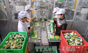 59 doanh nghiệp rớt danh hiệu Hàng Việt Nam chất lượng cao