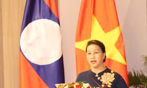 Hội thảo về vai trò của nữ đại biểu trong hoạt động Quốc hội 