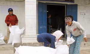 Hỗ trợ trên 400 tấn gạo cho tỉnh Yên Bái trong thời gian giáp hạt