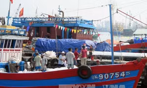 Khắc phục 'thẻ vàng' IUU: Nghiệp đoàn nghề cá nỗ lực gỡ thẻ vàng