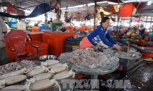 Chỉ số giá tiêu dùng tháng 5 giảm 0,53%