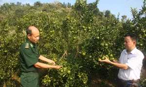 Giải pháp phát triển kinh tế địa phương 