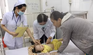 Không lơ là trong phòng chống, điều trị dịch bệnh sốt xuất huyết 