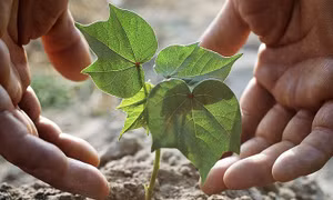 Nga sản xuất thành công đất nhân tạo