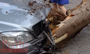 Cây gãy đổ đè bẹp 1 xe ô tô và 3 xe máy