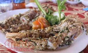 TP Hồ Chí Minh