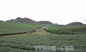 Cuộc sống mới ở bản tái định cư Mường Chiên I, Sơn La