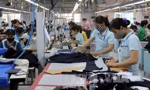 'Có thể điều chỉnh tỷ lệ hưởng lương hưu lao động nữ theo lộ trình'