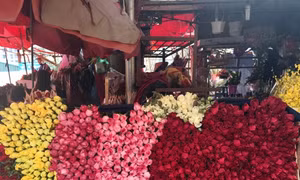 Hoa hồng tăng giá từng giờ ngày Valentine