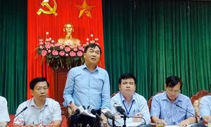 Hơn 1.300 cây xanh trên đường Phạm Văn Đồng: Bất khả kháng mới chặt hạ