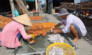 Tiền Giang nâng cao hiệu quả khai thác nguồn lợi từ biển