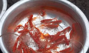Sôi động thị trường ngày tiễn ông Công, ông Táo 