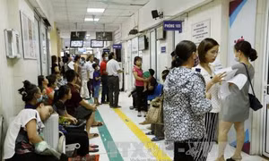 Các địa phương nên công bố dịch sốt xuất huyết